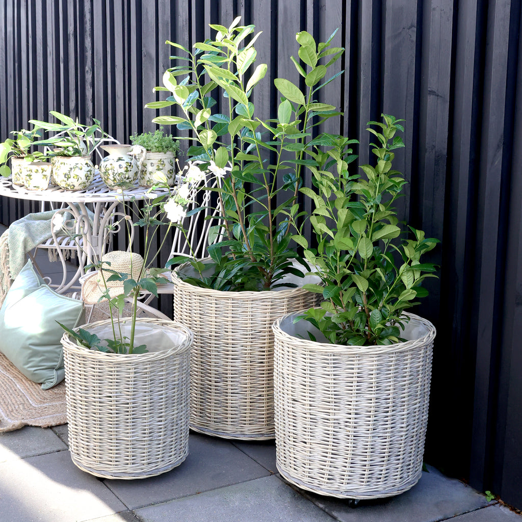 ROUND FRENCH WILLOW PLANTER BASKET ON WHEELS