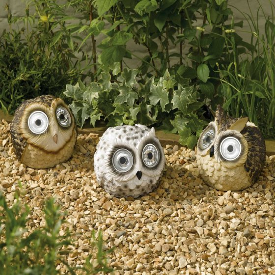 Bright Eye Owl Solar Light