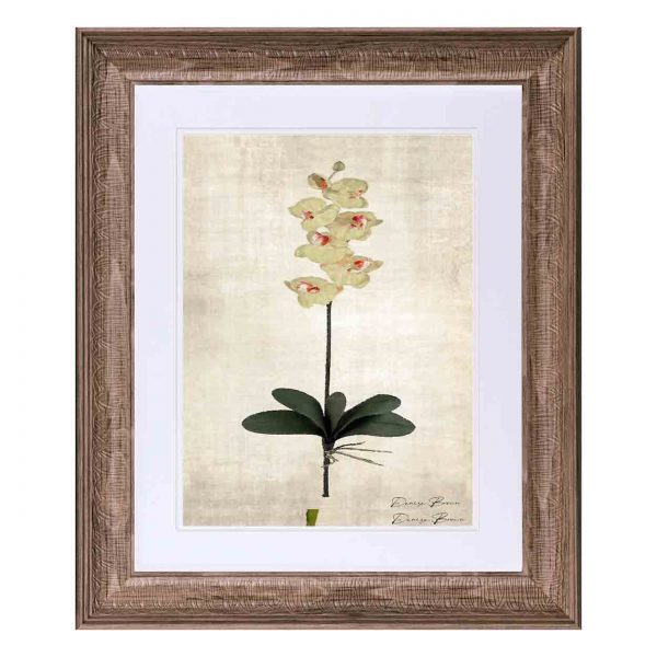 Framed Flower Print